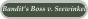 Bandit’s Boss v. Seewinkel